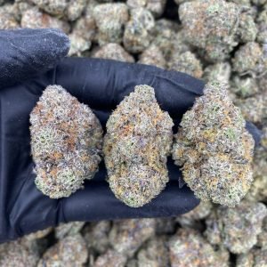 BERRY HAZE