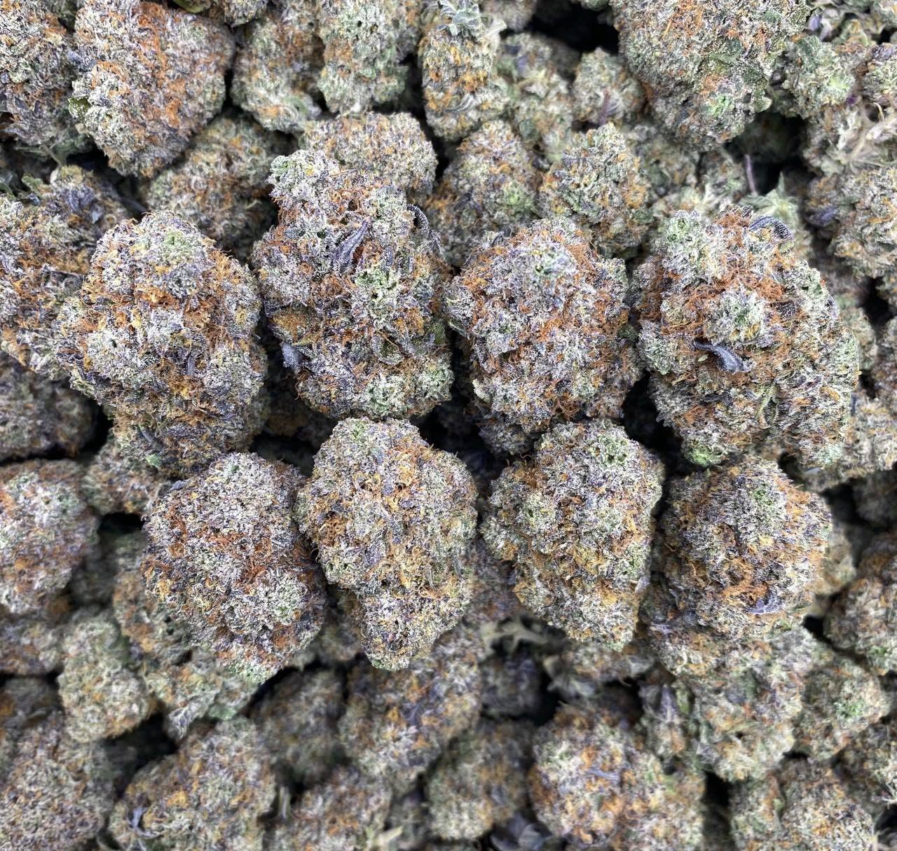 BERRY HAZE_