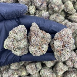 MOCHI GAS
