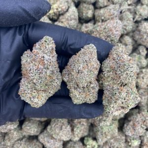 PINK GUMMY