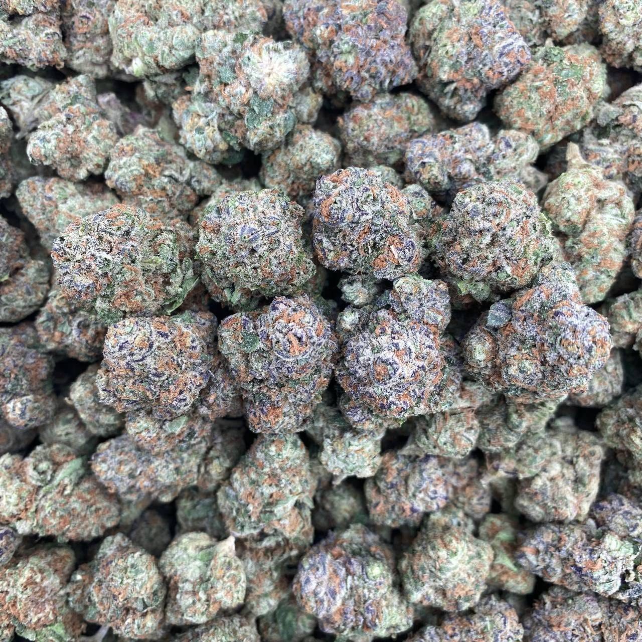 TURBO RAZZBERRY-
