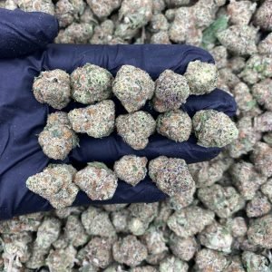 WHITE GUMMY