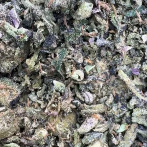 Exotic Shake