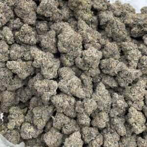 FROZEN FRUITY PEBBLES INDOOR