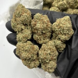 Gorilla Glue #4 strain