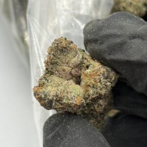 BLOW POPZ