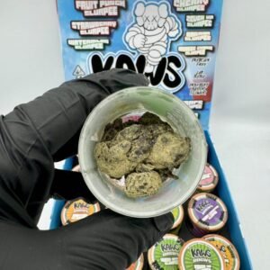 Authentic Kaws Rocks Slurpee Edition